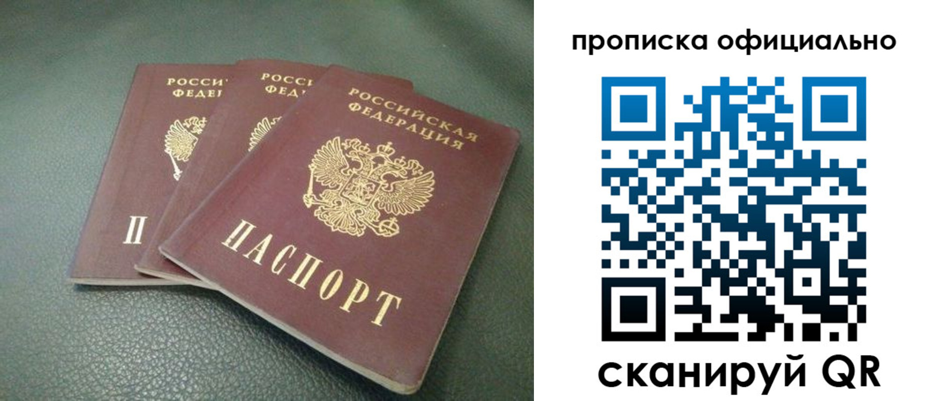 прописка для школы в Коврове